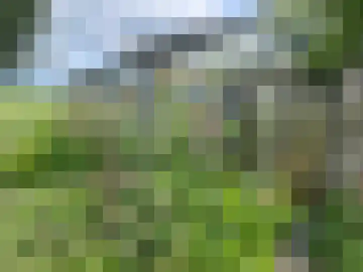 Grote Sloot 489 Oudesluis thumbnail 16