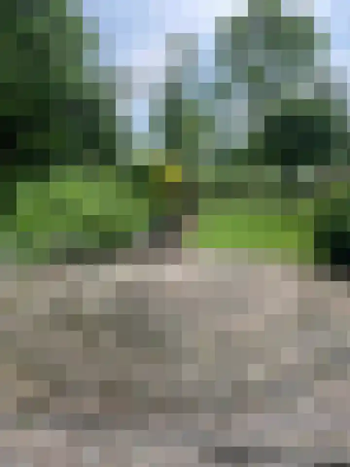 Grote Sloot 489 Oudesluis thumbnail 17