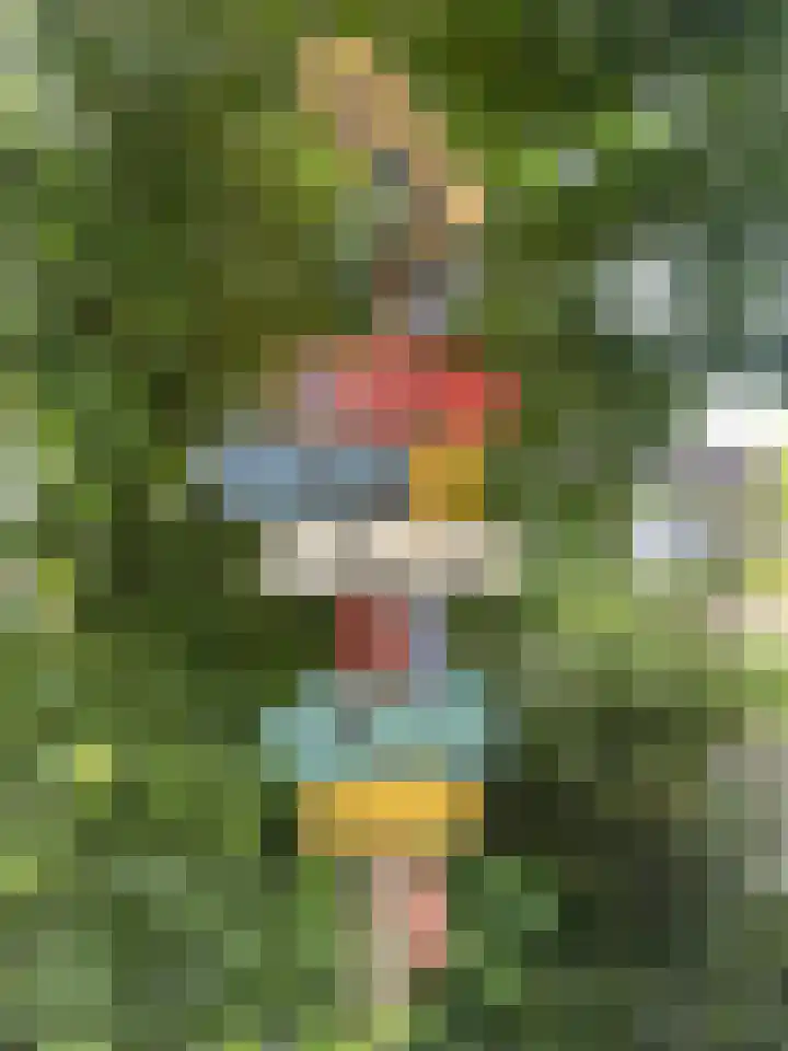 Grote Sloot 489 Oudesluis thumbnail 18
