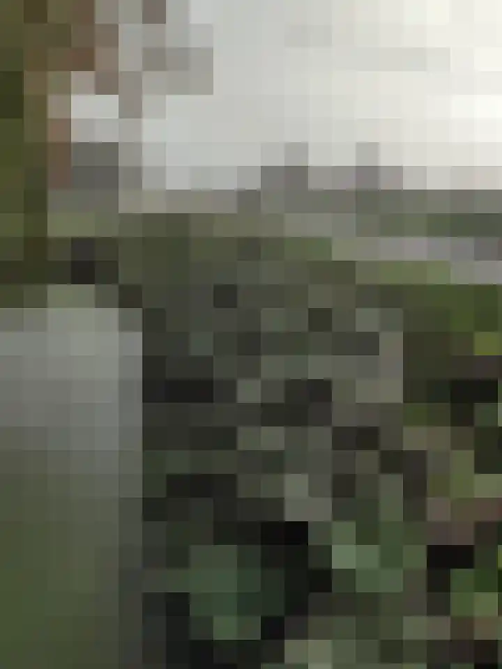 Grote Sloot 489 Oudesluis thumbnail 20