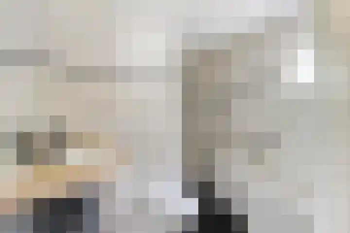 Grote Sloot 489 Oudesluis thumbnail 33