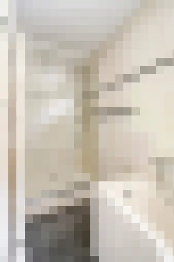 Grote Sloot 489 Oudesluis thumbnail 34