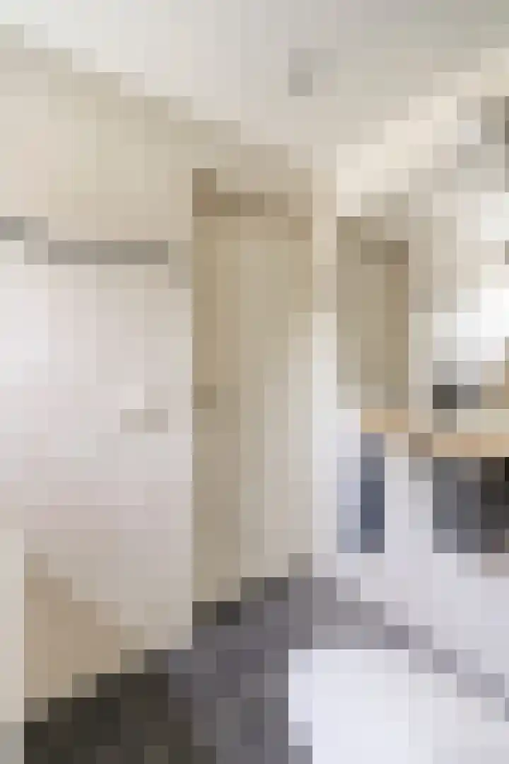Grote Sloot 489 Oudesluis thumbnail 35