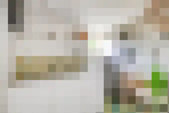 Grote Sloot 489 Oudesluis thumbnail 36