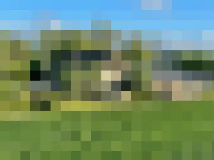 Grote Sloot 489 Oudesluis thumbnail 4