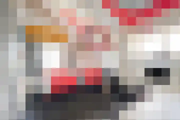 Grote Sloot 489 Oudesluis thumbnail 40
