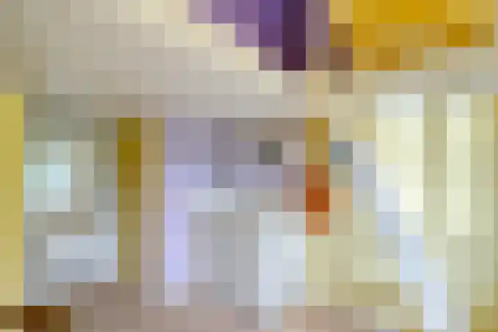 Grote Sloot 489 Oudesluis thumbnail 43