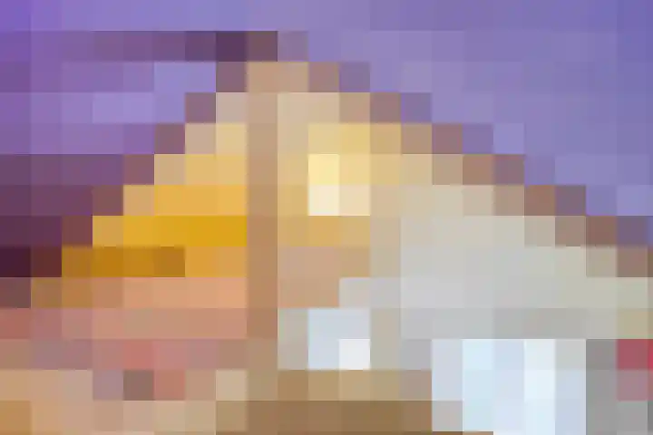Grote Sloot 489 Oudesluis thumbnail 44