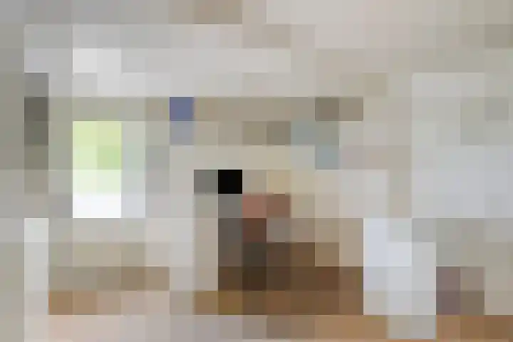 Grote Sloot 489 Oudesluis thumbnail 45