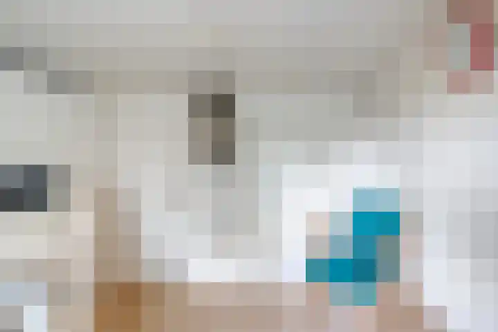 Grote Sloot 489 Oudesluis thumbnail 47