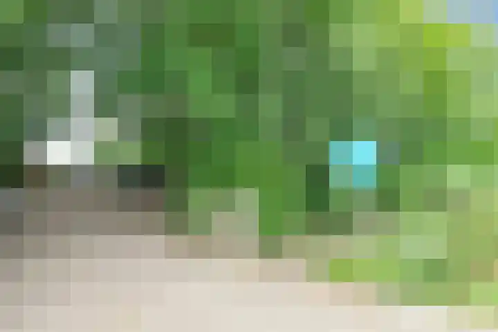 Grote Sloot 489 Oudesluis thumbnail 49