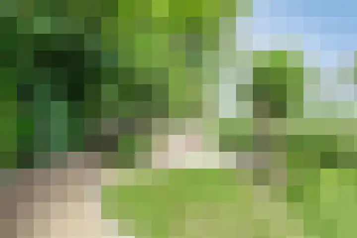 Grote Sloot 489 Oudesluis thumbnail 5