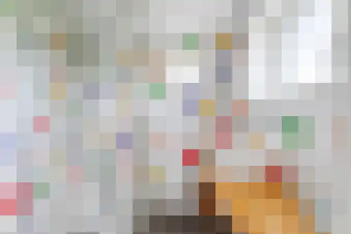 Grote Sloot 489 Oudesluis thumbnail 56