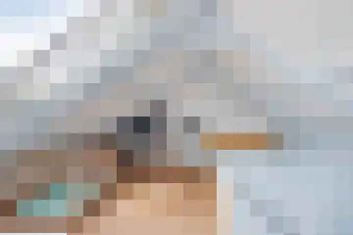Grote Sloot 489 Oudesluis thumbnail 57