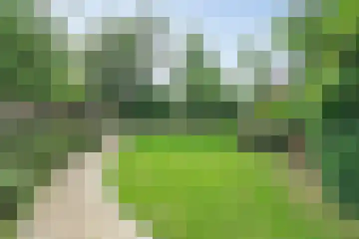 Grote Sloot 489 Oudesluis thumbnail 6