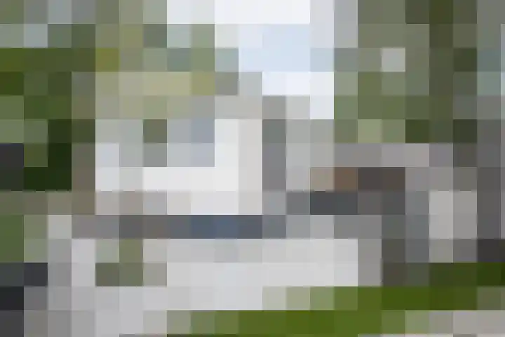 Grote Sloot 489 Oudesluis thumbnail 64