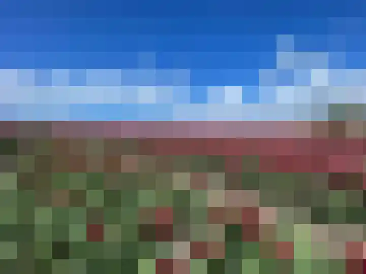 Grote Sloot 489 Oudesluis thumbnail 65