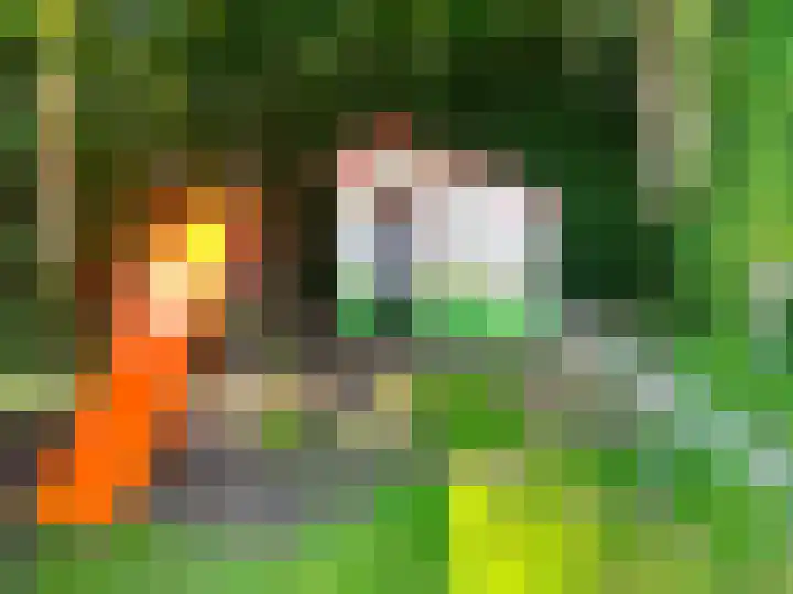 Grote Sloot 489 Oudesluis thumbnail 66