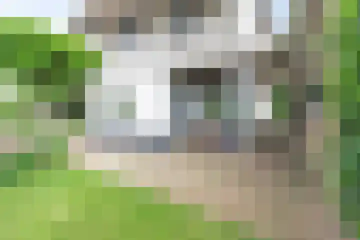 Grote Sloot 489 Oudesluis thumbnail 7