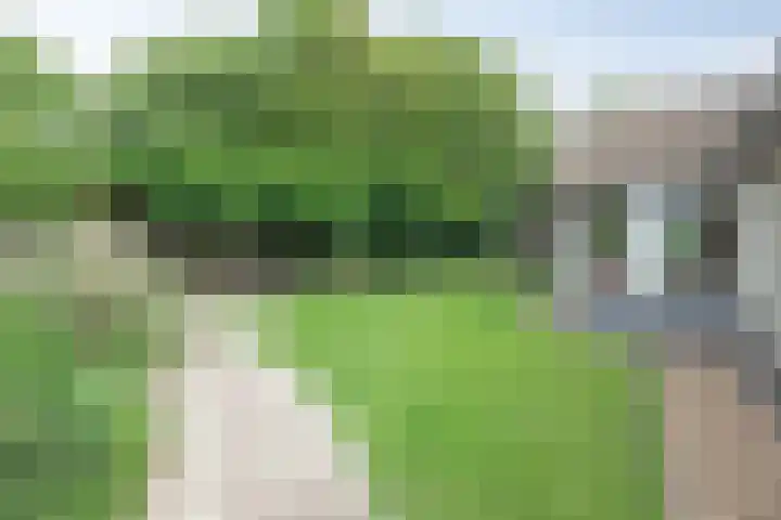 Grote Sloot 489 Oudesluis thumbnail 8