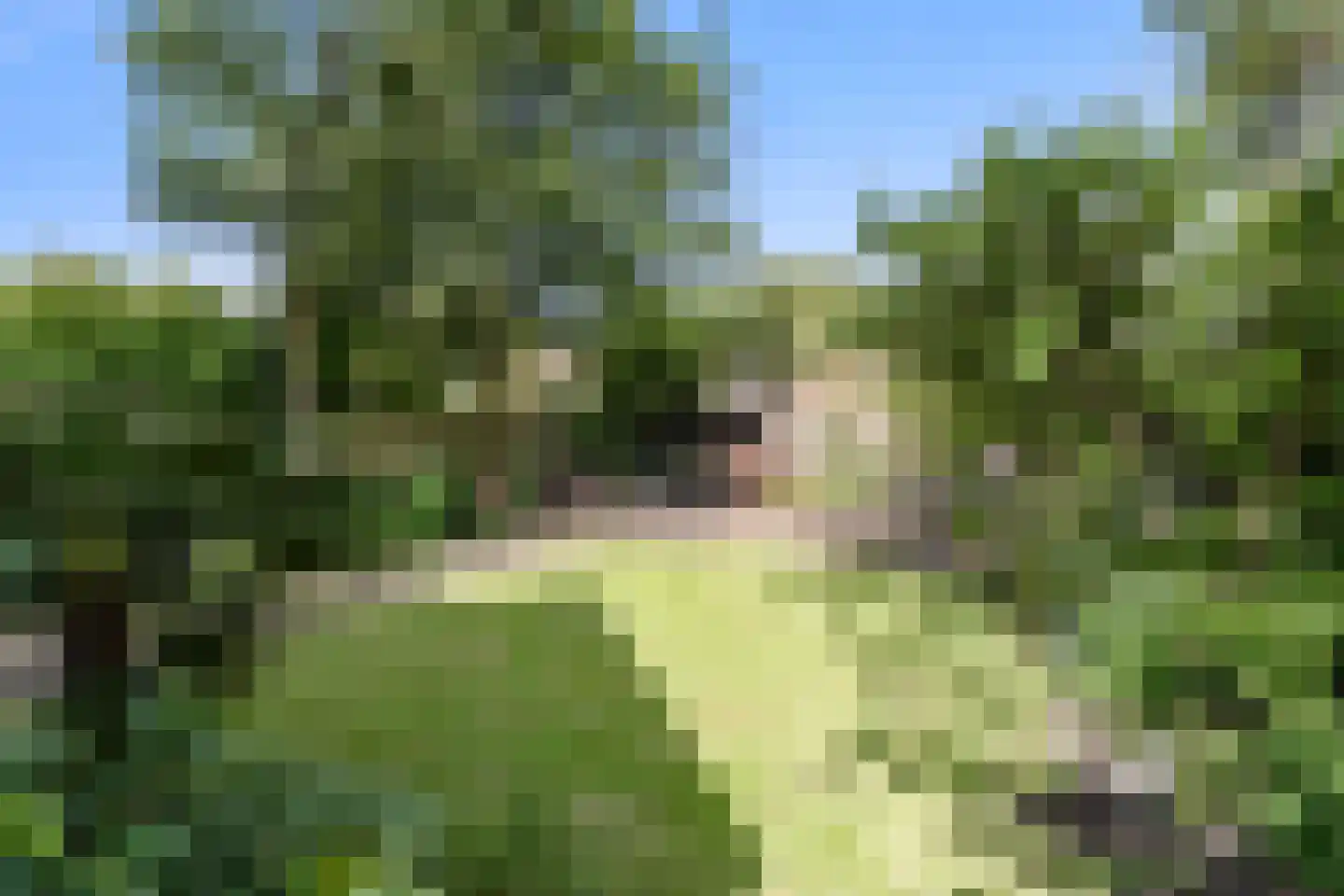 Grote Sloot 70 Burgerbrug thumbnail 35