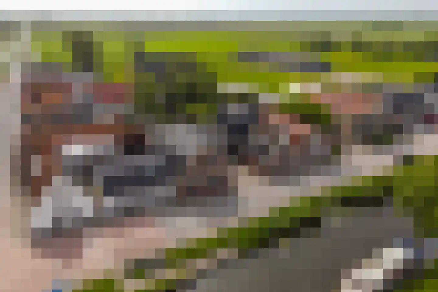 Grote Sloot 70 Burgerbrug thumbnail 41