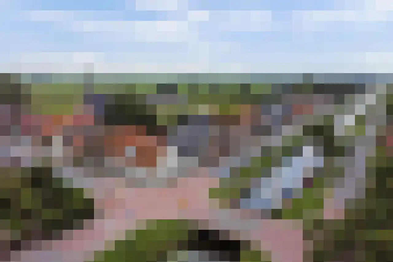 Grote Sloot 74 Burgerbrug thumbnail 47