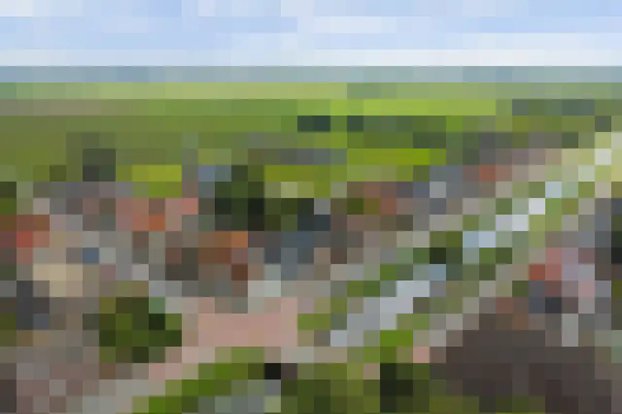 Grote Sloot 74 Burgerbrug thumbnail 49