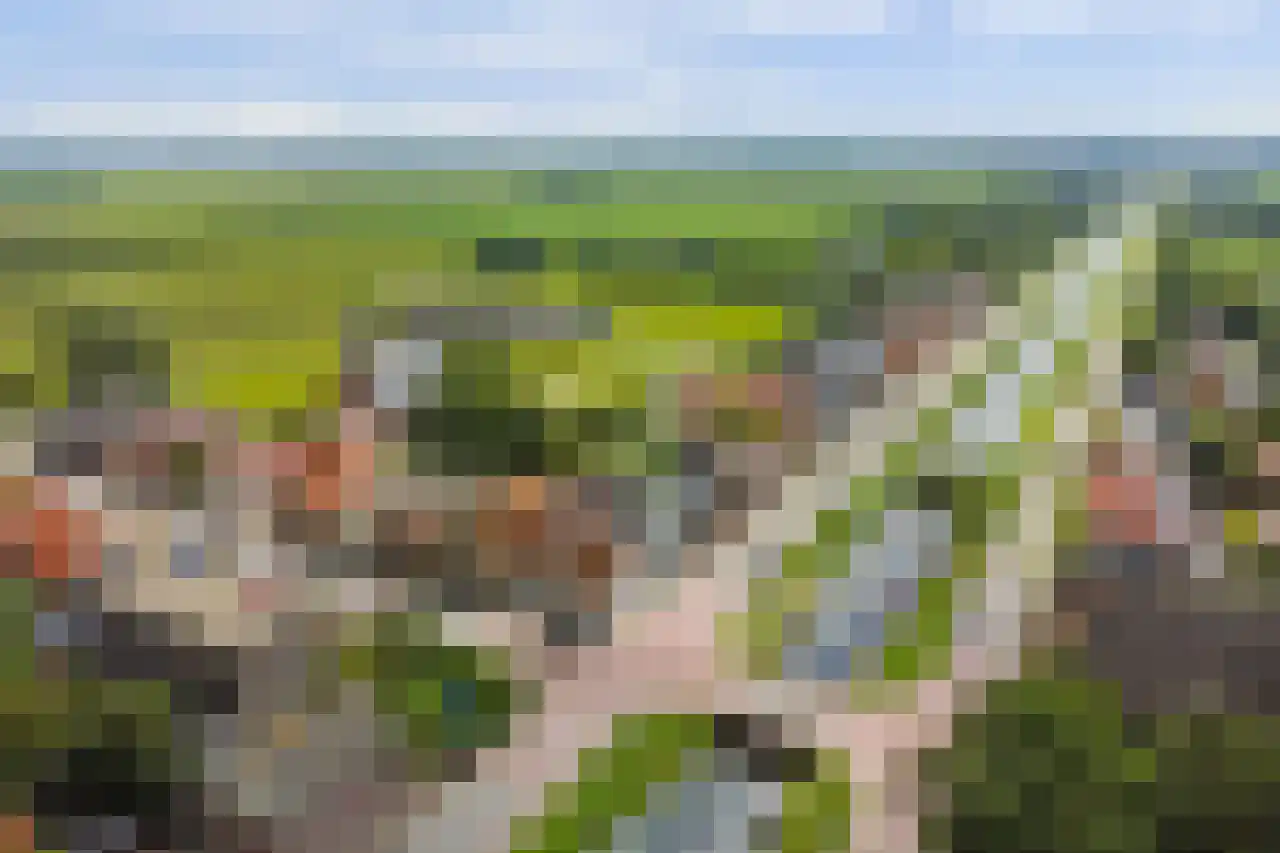 Grote Sloot 74 Burgerbrug thumbnail 7