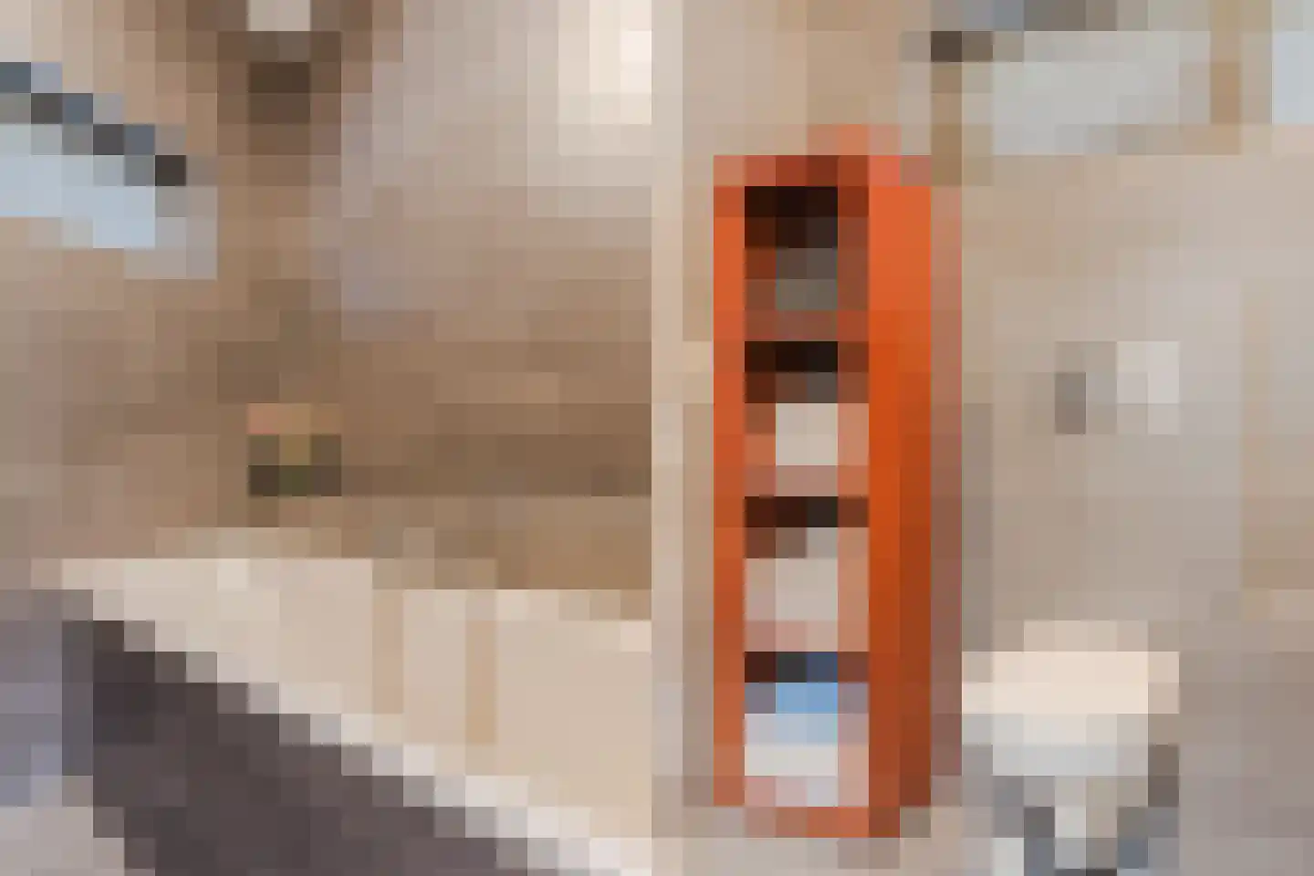 Grote Sloot 77 Burgerbrug thumbnail 22