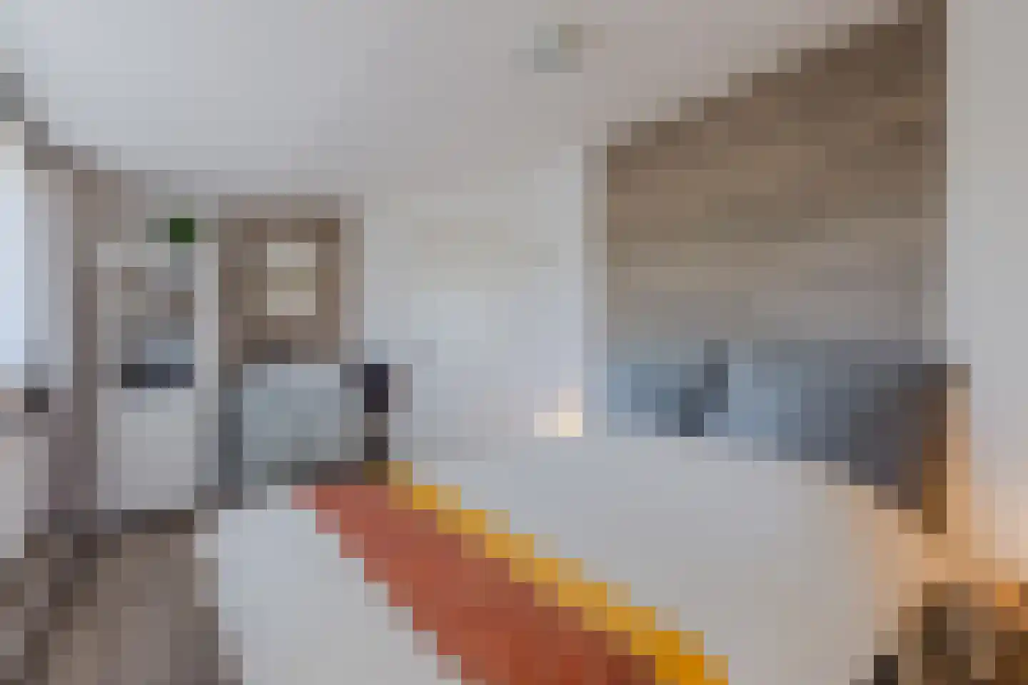Grote Sloot 77 Burgerbrug thumbnail 27