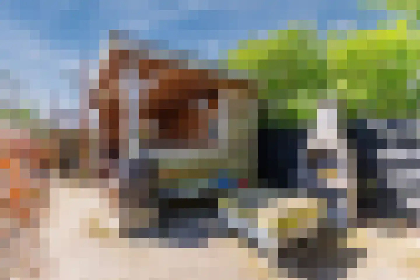 Grote Sloot 77 Burgerbrug thumbnail 34