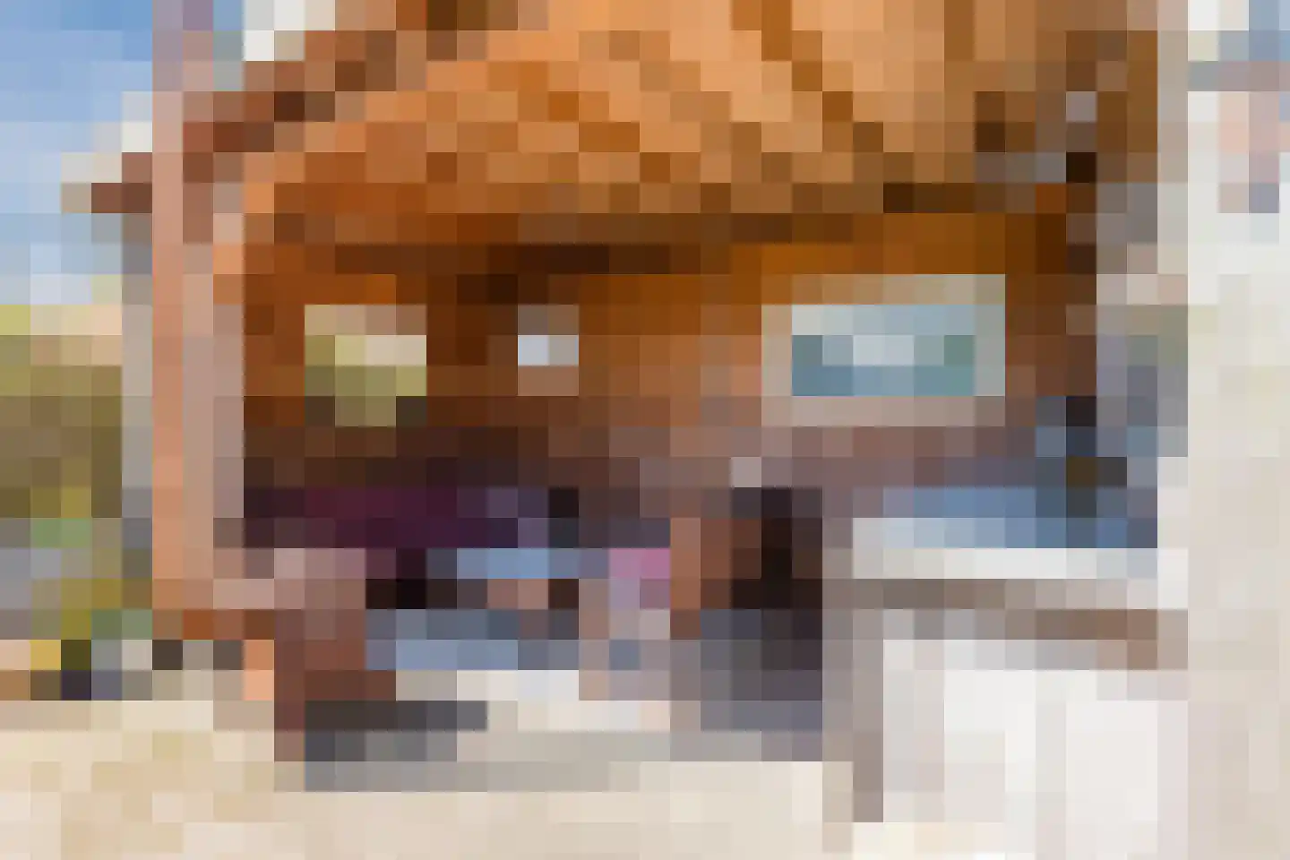 Grote Sloot 77 Burgerbrug thumbnail 35