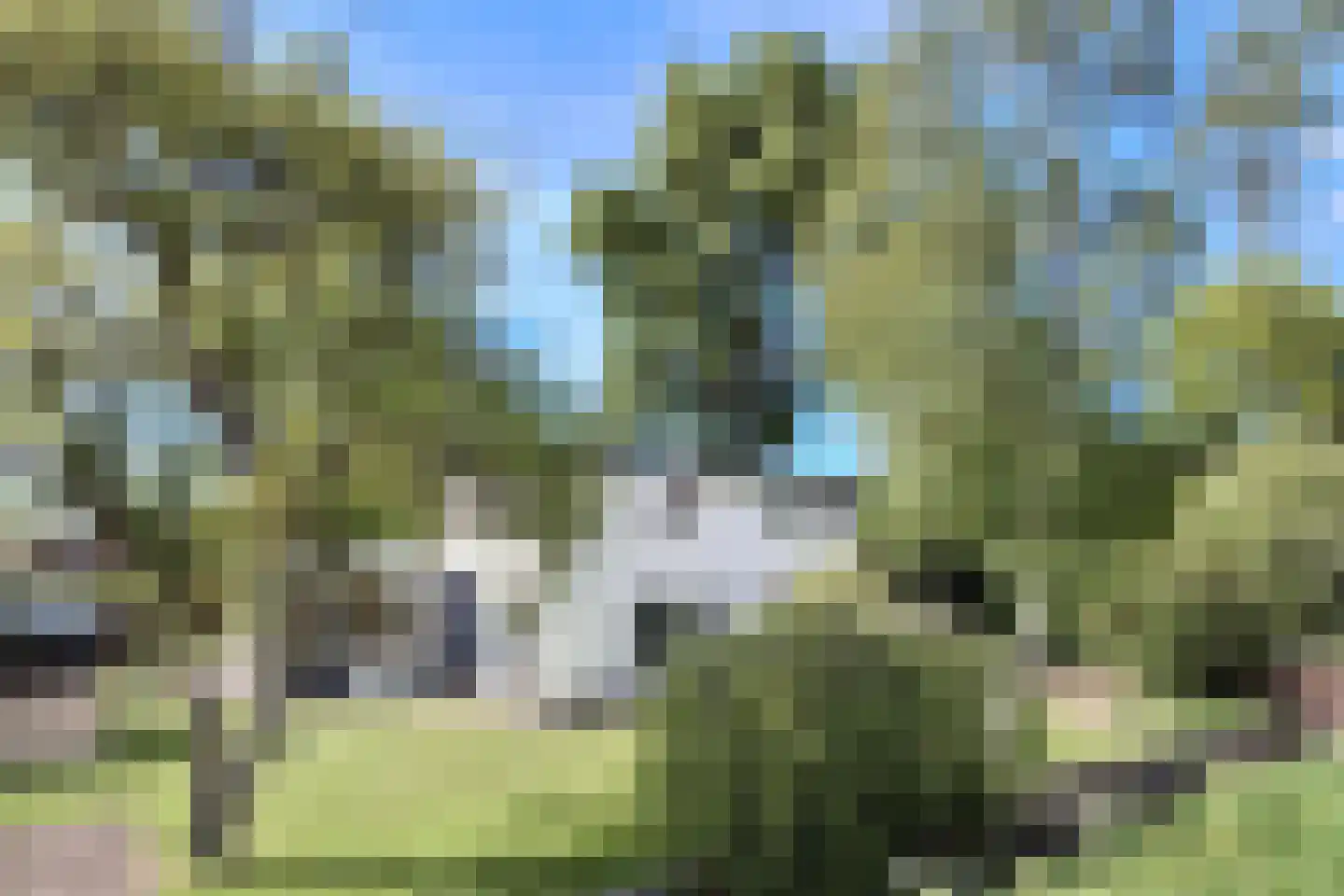 Grote Sloot 77 Burgerbrug thumbnail 43