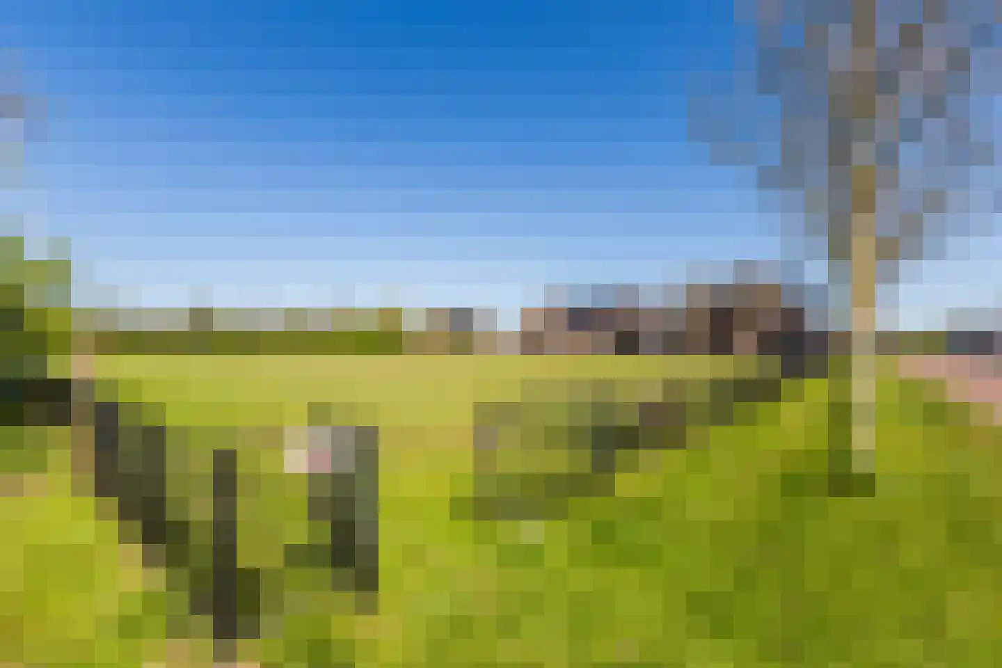 Grote Sloot 77 Burgerbrug thumbnail 48