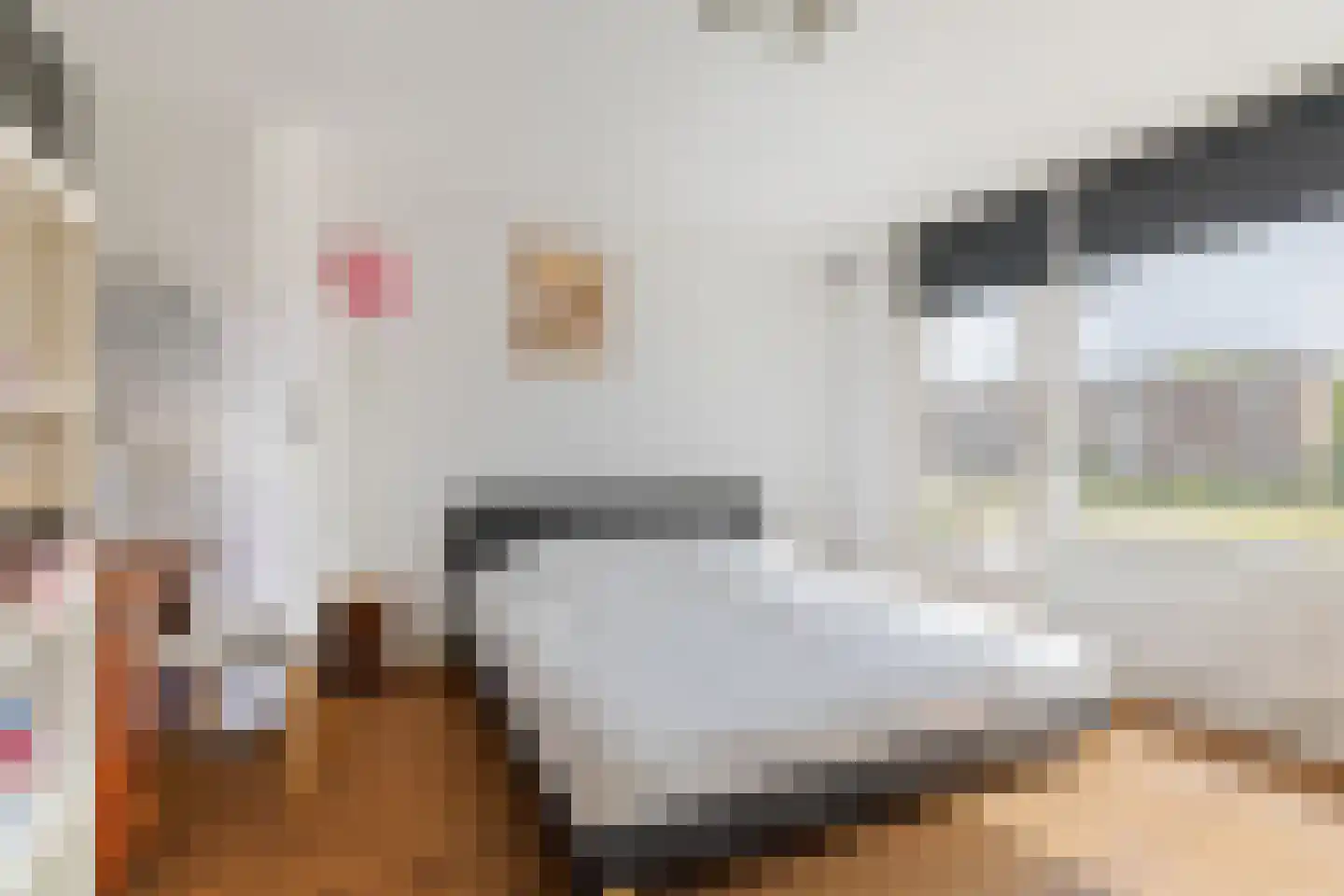 Grote Spie 12 Breda thumbnail 21