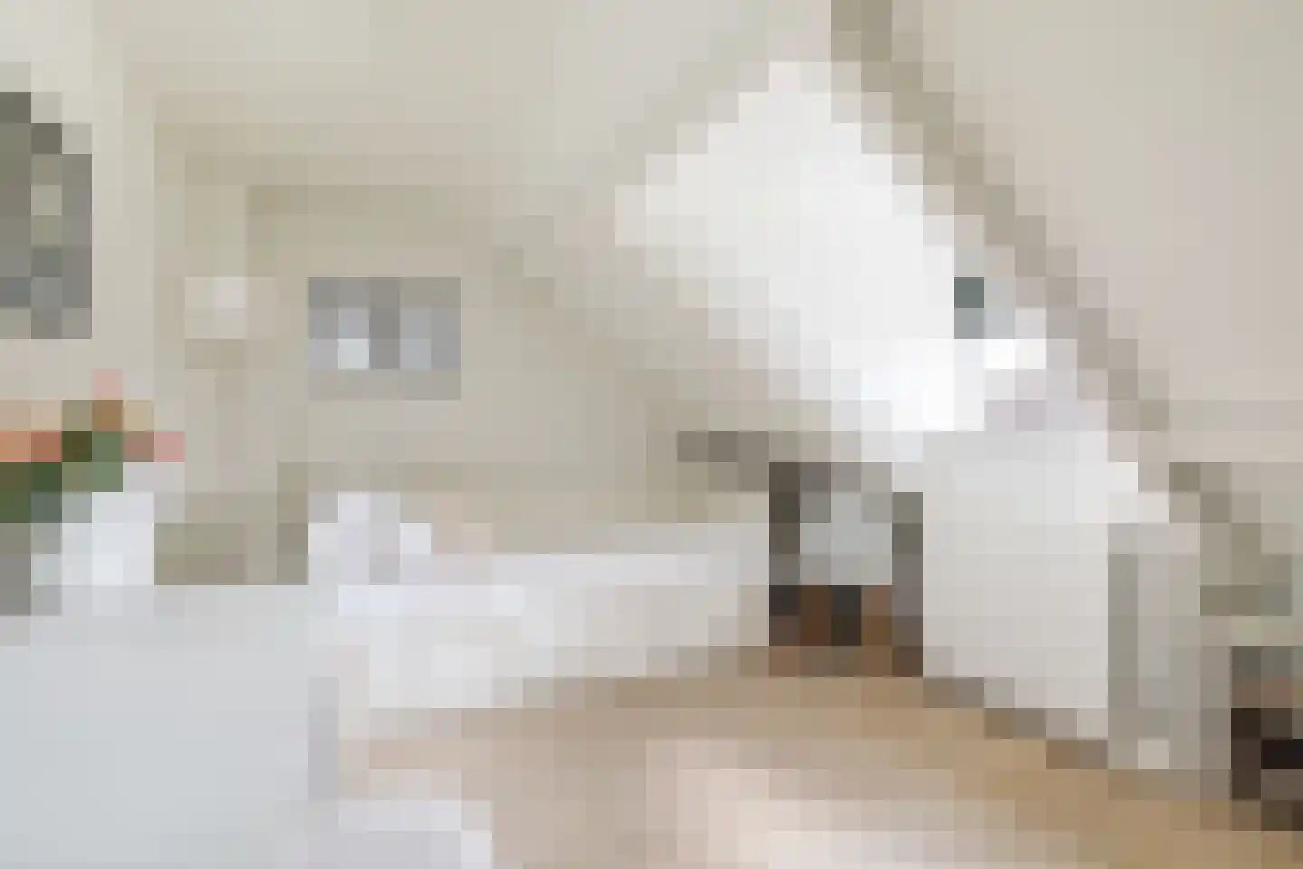 Grote Spie 12 Breda thumbnail 25