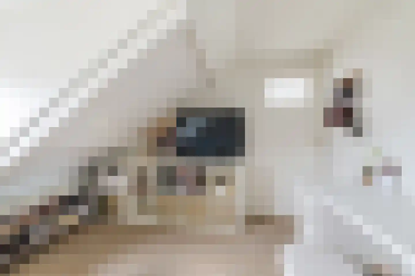 Grote Spie 12 Breda thumbnail 26