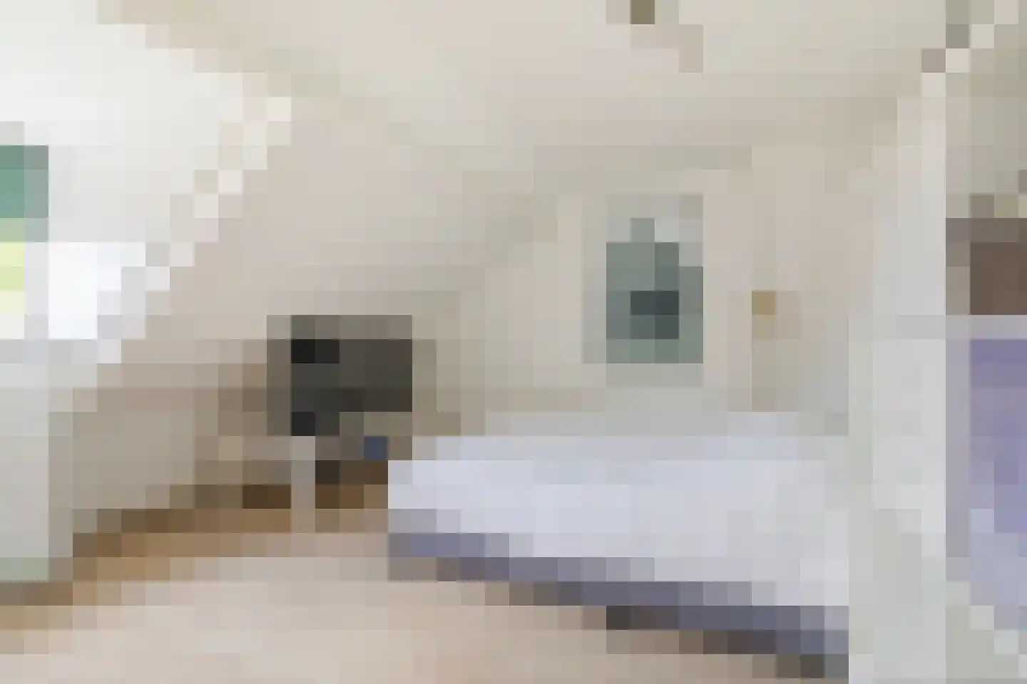 Grote Spie 12 Breda thumbnail 27