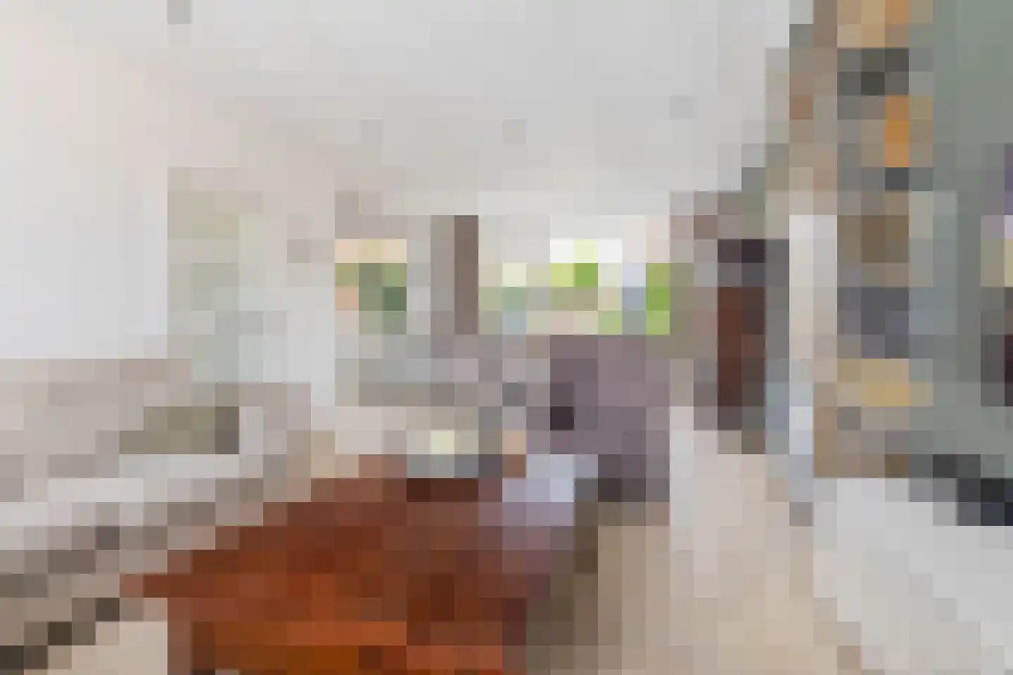 Grote Spie 12 Breda thumbnail 9
