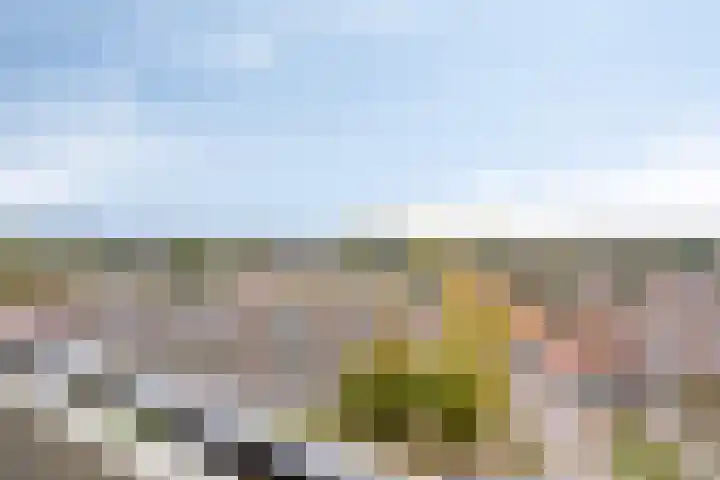 Grote Spie 175 Breda thumbnail 13