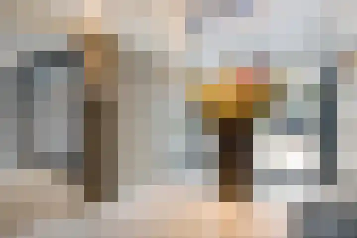 Grote Spie 175 Breda thumbnail 4