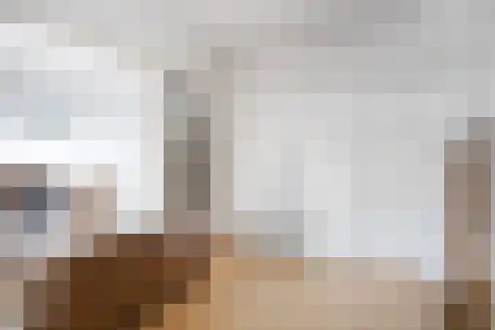 Grote Spie 175 Breda thumbnail 7
