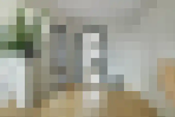 Grote Spie 229 Breda thumbnail 11