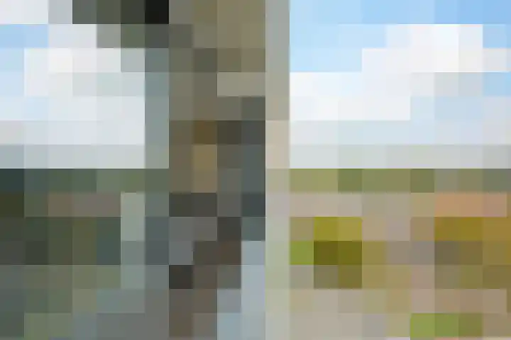Grote Spie 229 Breda thumbnail 25