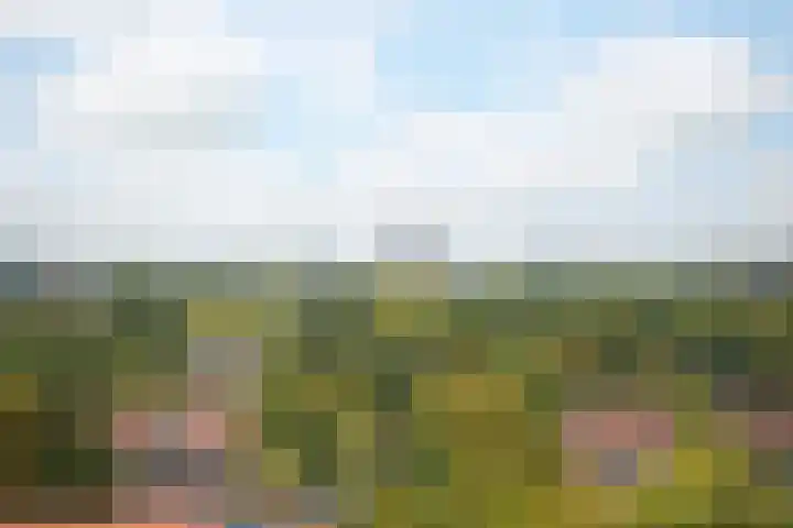 Grote Spie 229 Breda thumbnail 27