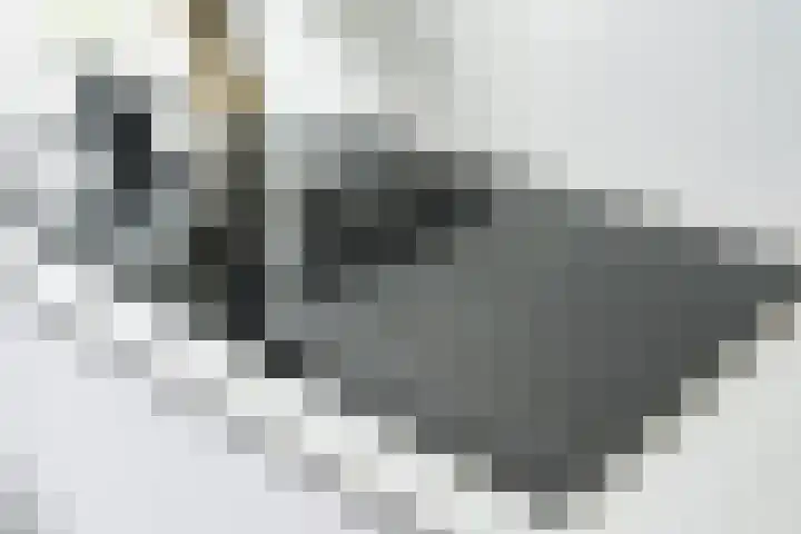 Grote Spie 229 Breda thumbnail 31
