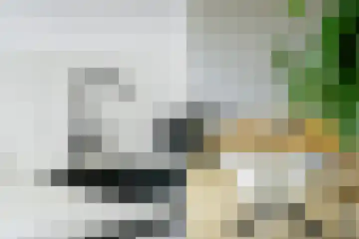 Grote Spie 229 Breda thumbnail 32