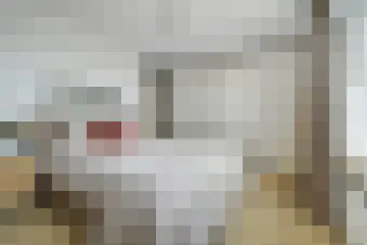 Grote Spie 229 Breda thumbnail 4