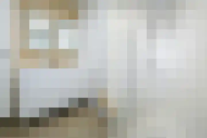 Grote Spie 229 Breda thumbnail 40